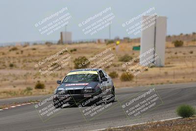 media/May-03-2025-Lucky Dog Racing (Sat) [[206de64b9d]]/Turn 6 (150pm-230pm)/